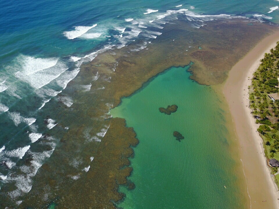 Vista aérea das piscinas naturais de Taipu de Fora na maré baixa: o recife separa o mar aberto, à esquerda, da água parada e transparente junto à praia