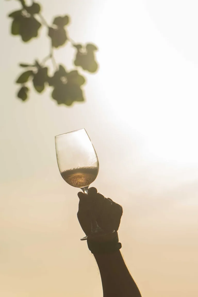 Mão erguendo uma taça de vinho contra o sol