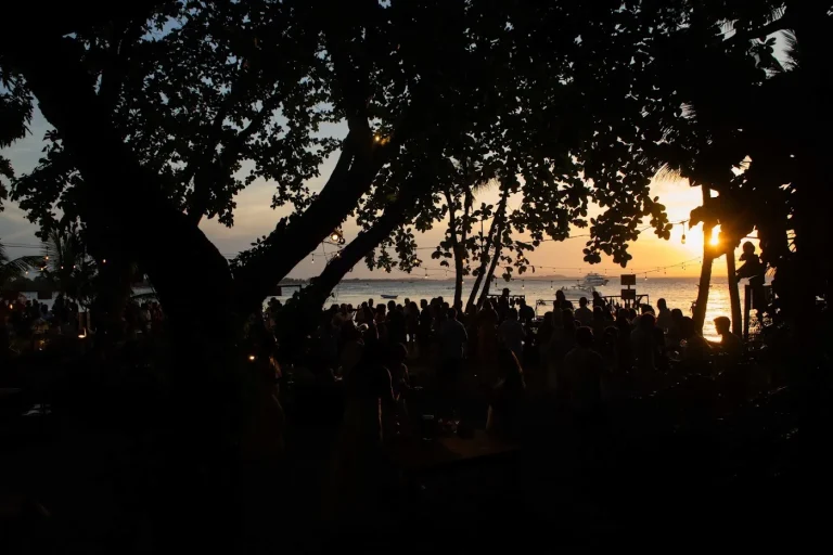 O sol se pondo entre as árvores, com a casa cheia em silhueta