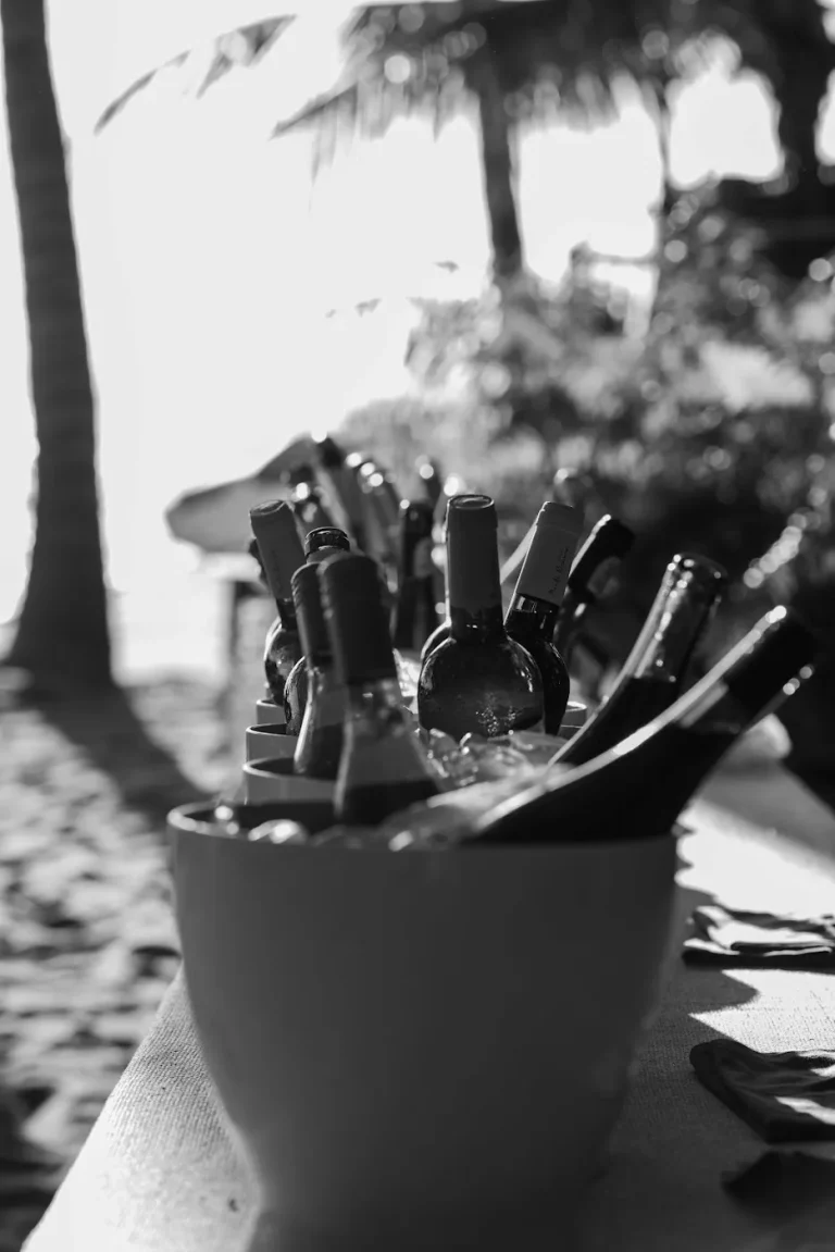 Garrafas de vinho no balde de gelo, em preto e branco
